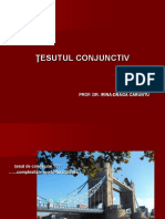 03-tesut_conjunctiv_1_Med.pdf