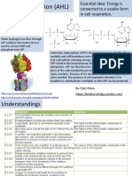 BioK 8.2 Cell Respiration AHL