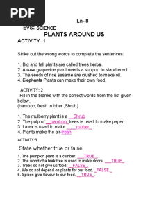 Plants Around Us: STD: Iii Ln-8 EVS Activity:1