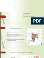 Cranial nerve (111) Oculomotor nerve functions and pathophysiology