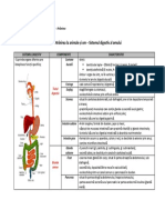 U2 l6 Sistemul Digestiv Al Omului PDF