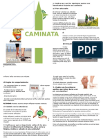 326162831-Especialidad-de-Caminata.pdf