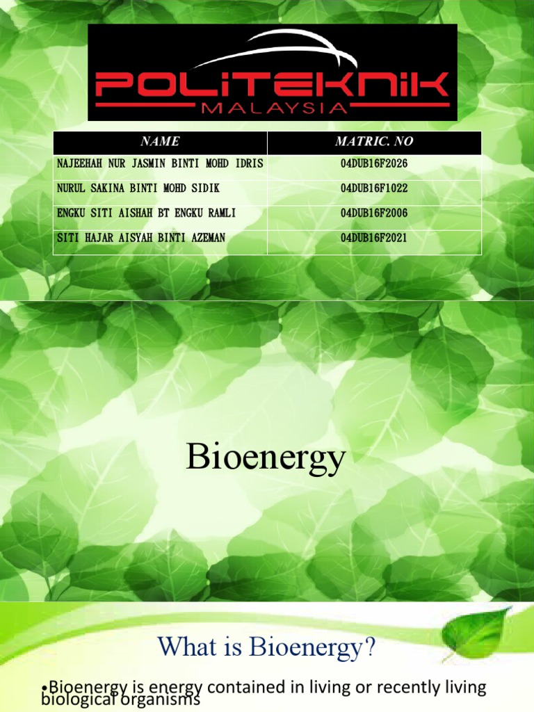 Understanding Bioenergy and Biomass | PDF | Science & Mathematics