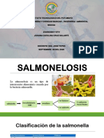 zoonosis salmonelosis