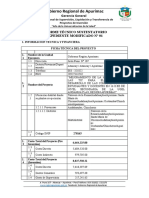 Informe Tecnico V5