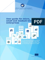 User Guide Micro Small Medium Sized Enterprises - en