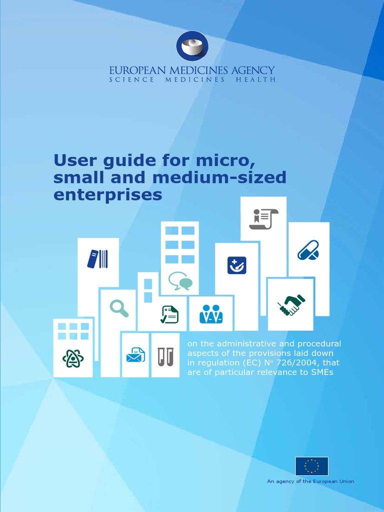 User Guide Micro Small Medium Sized Enterprises - en | PDF | Small And ...