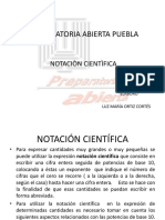 Notación Científica PDF