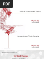 VSE InfoScale Enterprise 2020 05