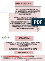 3 Autoridad PDF