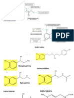 Phenylethylamine Adrenergic Agonist