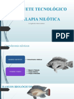 PAQUETES TECNOLÓGICOS DE ESPECIES DE TILAPIA