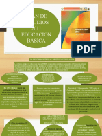 Mapa Conceptul Plan de Estudio 2011