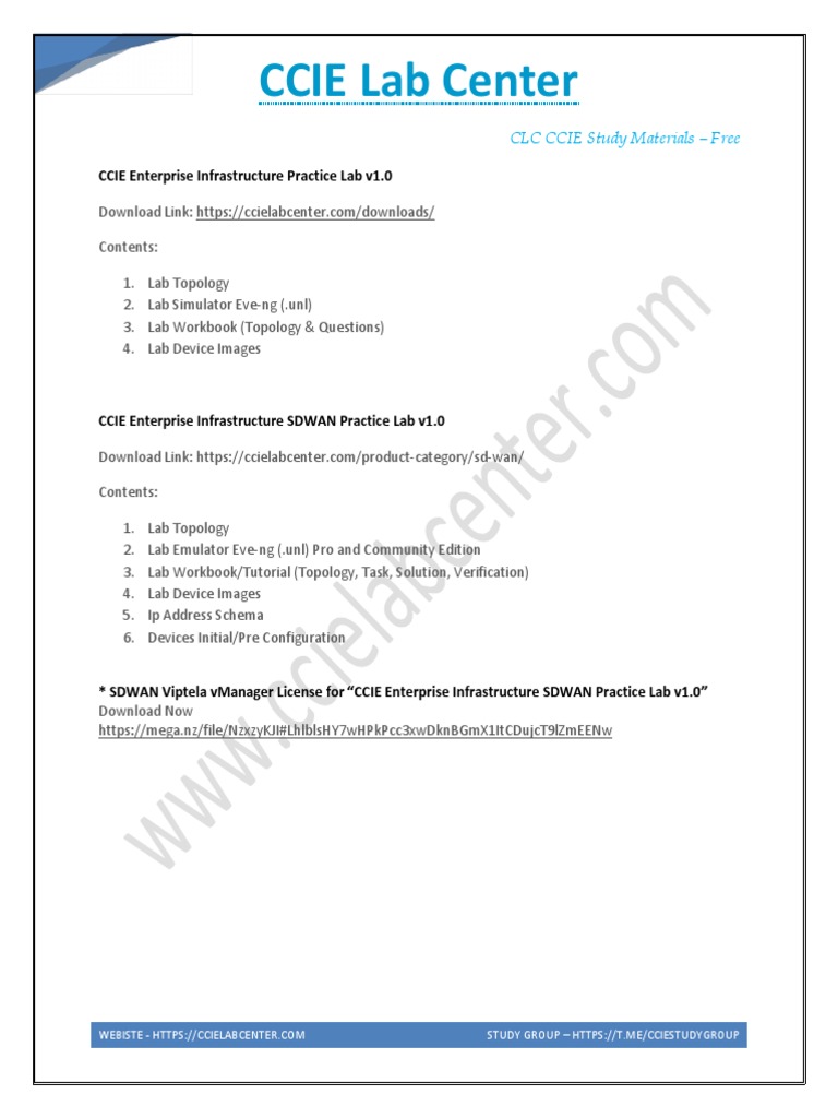 CCIE Enterprise Infrastructure Labs Guide | PDF | Computers ...