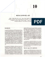 replicacion de adn .pdf