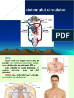 lectie_23_anatomia_sistemului_circulator..ppt