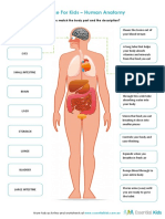 Human-Anatomy Kids PDF