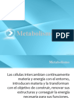 Metabolismo INTRO.pptx