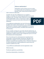 Qué Son Los Problemas Ambientales de Ariel Steveen Alejandro Del Pezo