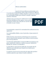 Causas principales contaminación ambiental