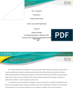 Fase 2 Formulación