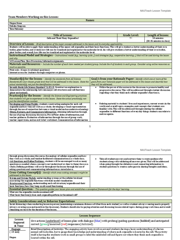 Nauteach 303 Lesson Plan Template 2 | PDF | Endoplasmic Reticulum ...