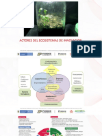 Actores y Ecosistema Innovacion