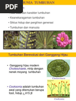 Download Struktur Tumbuhan by Widiastuti Nur Farida SN48487301 doc pdf