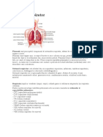 Sistemul Respirator