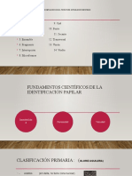 Fundamentos científicos de la identificación papilar