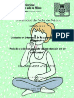 "Práctica Clínica Guía de Alimentación Final Materno