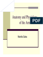 Anatomy and Physiology of The Arm