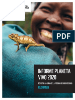 Ipv 2020 Resumen 1 1