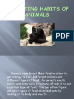The Eating Habits of Animals