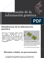 2-3-Genes-cromosomas-genomas-estructura (1).pdf