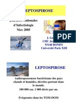leptosperose.pdf
