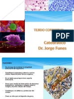 9-tejido-conectivo.ppt