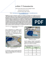 Glucolisis y Fermentación