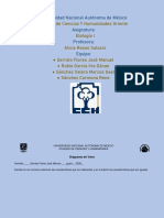 Diagrama de Venn - Biología I - Serrato Flores