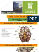 GUÍA DE VÍA INTRA-ARTERIAL Carlos Ricaurte.pptx