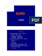 RJPO Revisi PDF