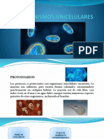 Protozoos PDF