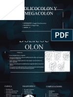 Dolicocolon y Megacolon