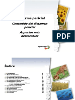 El Informe Pericial PDF PDF