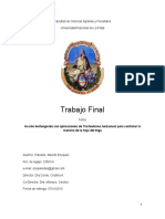 Documento Completo