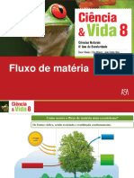 Fluxo de matéria em ecossistemas de forma cíclica