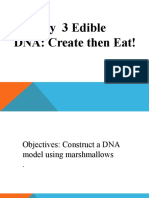 Activity 3 Edible DNA: Create Then Eat!