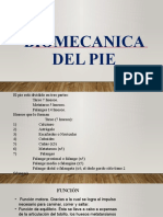 Biomecanica Del Pie