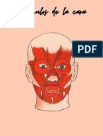 Músculos de La Cara PDF