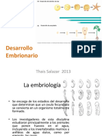 Desarrollo Embrionario